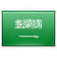 Arabia, saudi MediumSeaGreen icon