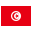Tunisia Red icon