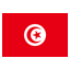 Tunisia Icon