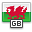 flag, Wales Icon