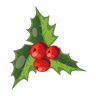 christmas, mistletoe DarkOliveGreen icon