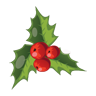 christmas, mistletoe Icon