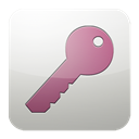 Ms, Access Silver icon