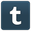 Tumblr DarkSlateGray icon