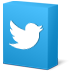 twitter, Box DodgerBlue icon