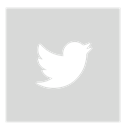square, gray, twitter Gainsboro icon