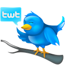 Logo, bird, tweet, social media, Social, twitter Black icon