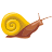 slow, speed, Escargot, Snail, mail, slowly Black icon