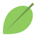 appicns, Coda YellowGreen icon