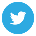 twitter DodgerBlue icon