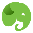 Evernote YellowGreen icon