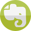 Evernote YellowGreen icon