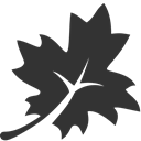 Leaf DarkSlateGray icon