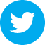 twitter DeepSkyBlue icon