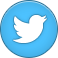 twitter CornflowerBlue icon