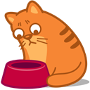 Cat, Hungry Coral icon