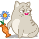 Cat, rascal LightGray icon