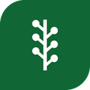 slash dot, news vine, social media, newsvine logo, Newsvine ForestGreen icon