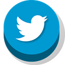 Buttonz, twitter DarkTurquoise icon