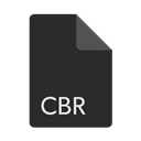File, Format, Extension, Cbr DarkSlateGray icon