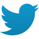 microblog, twidium, Bubble, bird, twitter, Social, tweet, News, Blue, Message, twitter bird LightSeaGreen icon