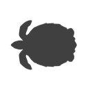 endangered, turtle, sea turtle DarkSlateGray icon