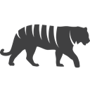endangered, Amur tiger, Tiger, siberian tiger DarkSlateGray icon
