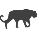 panther, leopard, endangered DarkSlateGray icon
