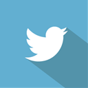 twitter CornflowerBlue icon