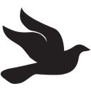 dove Black icon