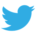 bird, squarico, network, birdie, Social, tweet, socialnetwork, twitter DodgerBlue icon