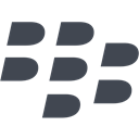 Blackberry DarkSlateGray icon