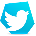 twitter, tweet, bird, Social DeepSkyBlue icon