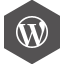 Wordpress Icon