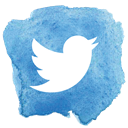 twitter, Social, bird, retweet, social media, microblog, tweet SkyBlue icon