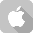 Apple Silver icon