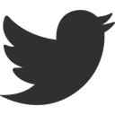twitter, Social, bird, Animal, tweet, social media DarkSlateGray icon