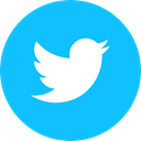 twitterbird, Blue twitter, twitter logo, twitterbird logo DeepSkyBlue icon