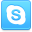 Skype LightSkyBlue icon