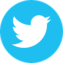 Social, tweet, twitter, Logo, social media, bird DeepSkyBlue icon