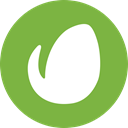 Envato, Logo YellowGreen icon