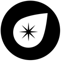 compass Black icon