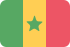 Senegal MediumSeaGreen icon