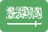 saudi, Arabia MediumSeaGreen icon