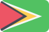 Guyana MediumSeaGreen icon