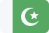 Pakistan MediumSeaGreen icon