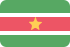 Suriname MediumSeaGreen icon