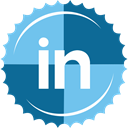 Linkedin SkyBlue icon