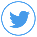 twitter CornflowerBlue icon