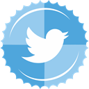 twitter SkyBlue icon